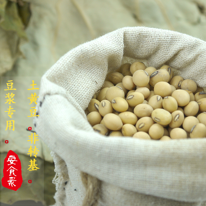 老品种土黄豆  山区农家非转基因黄豆 打豆浆专用可发芽 500克
