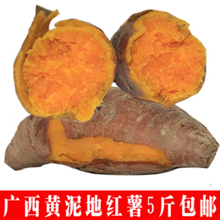 红薯 地瓜 番薯广西特产农家新鲜红薯 香番正宗原味5斤包邮