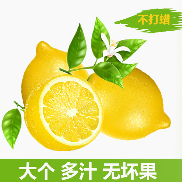 新鲜水果 四川安岳黄柠檬一级果混装 独立包装 5斤包邮