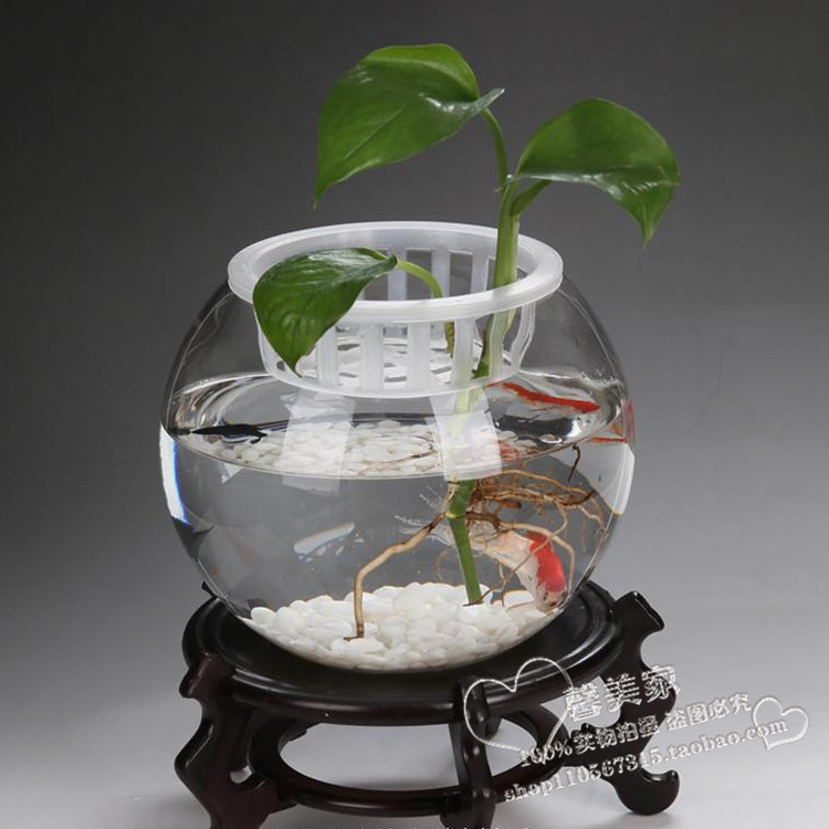 生态大号透明圆形玻璃金鱼缸乌龟缸 水培器皿花瓶时尚水族箱创意折扣优惠信息