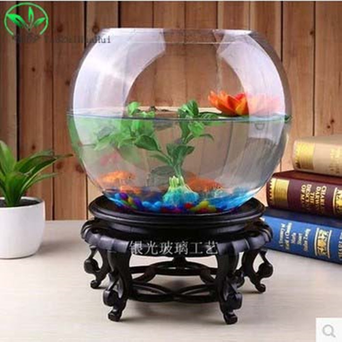 水培植物透明玻璃花盆 圆球玻璃花瓶 含定植篮 可养鱼养花玻璃缸折扣优惠信息