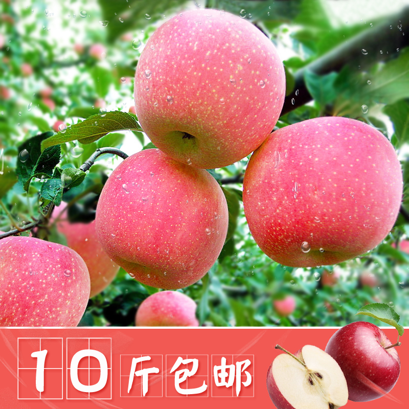 现货烟台苹果水果新鲜山东栖霞红富士苹果吃的小苹果一箱批发包邮