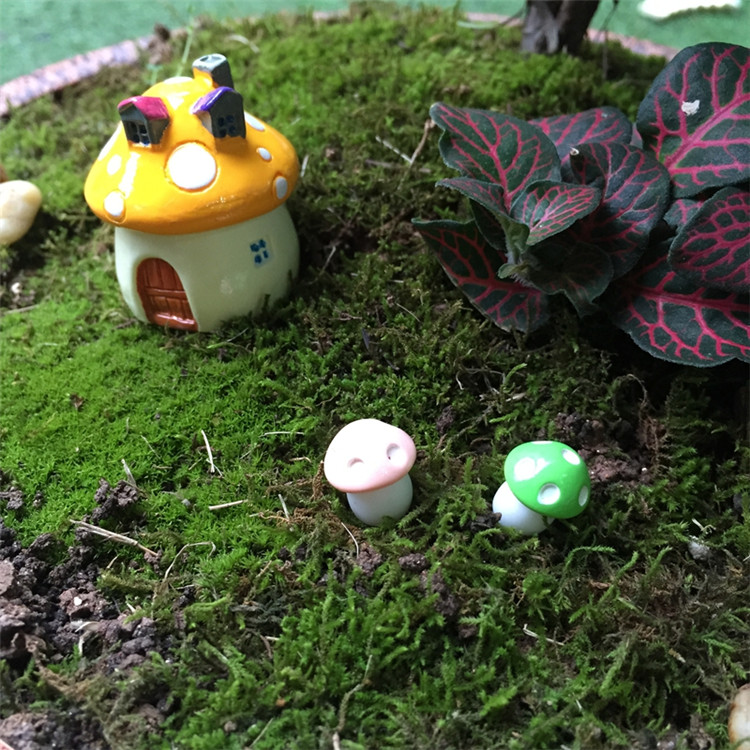 水培植物苔藓微景观盆景饰品小摆件 小蘑菇房子造型多肉植物装饰折扣优惠信息