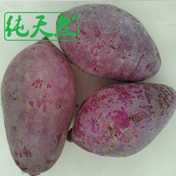 蔬菜产地直销 正宗国产新鲜香甜紫薯 非越南进口紫芋头地瓜土特产