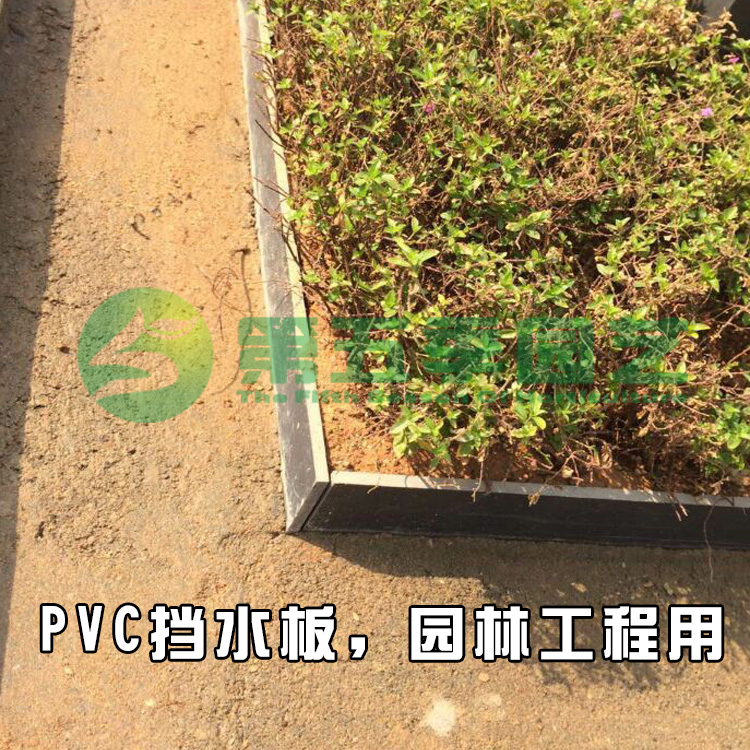 园林工程用 PVC挡水板 花木种植挡板 隔水板