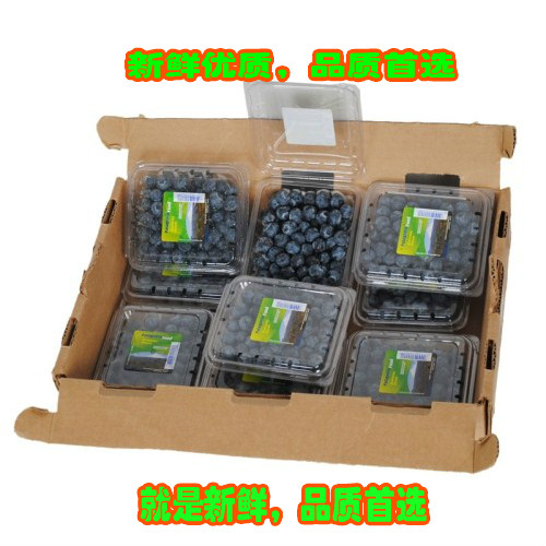 蓝莓/新鲜蓝莓/新鲜果/优质/深圳市区最快2小时送达折扣优惠信息