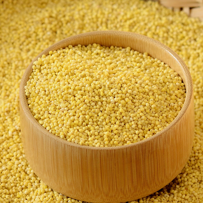 山西特产农家自产有机黄小米杂粮粗粮小黄米月子米熬粥小米宝宝米