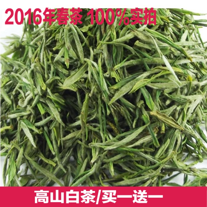 高山白茶2016新茶 正宗安吉产特级绿茶明前珍稀白茶茶农125g茶叶