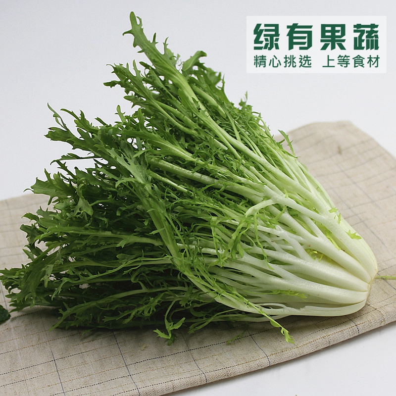 绿有果蔬 新鲜苦苣250g 苦菊菜西餐色拉菜 蔬菜沙拉生菜 同城配送