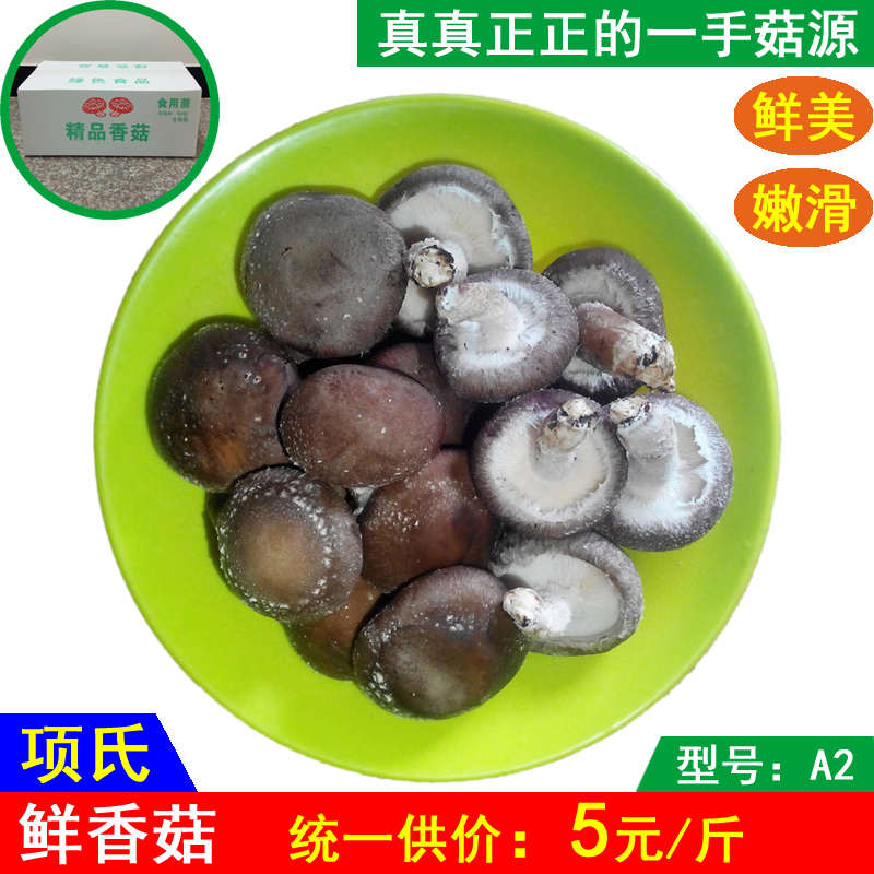 A2项氏正宗新鲜香菇 花菇 蘑菇特产一手菇源 鲜美嫩滑 散装500克