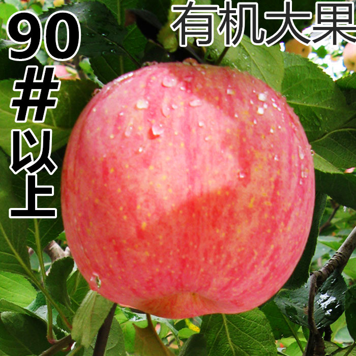 黄小六山西壶口苹果10斤 90以上大果红富士新鲜山东烟台仙霞包邮