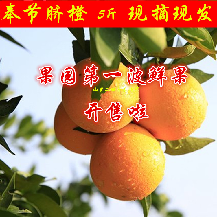 重庆奉节脐橙三峡特产新鲜水果孕妇宝宝食用正宗草堂脐橙福本5斤