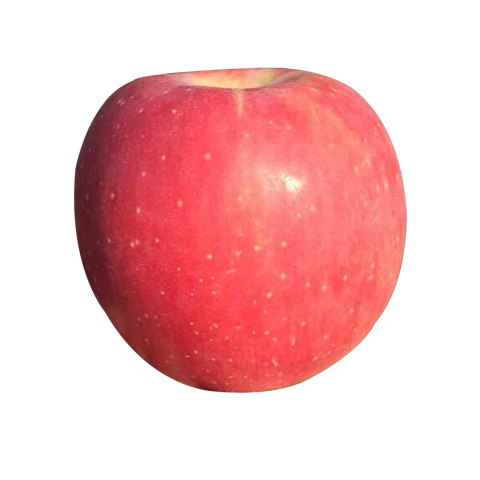 2015精品红富士苹果 现摘现发新鲜水果 脆甜纯天然有机不打药7斤折扣优惠信息