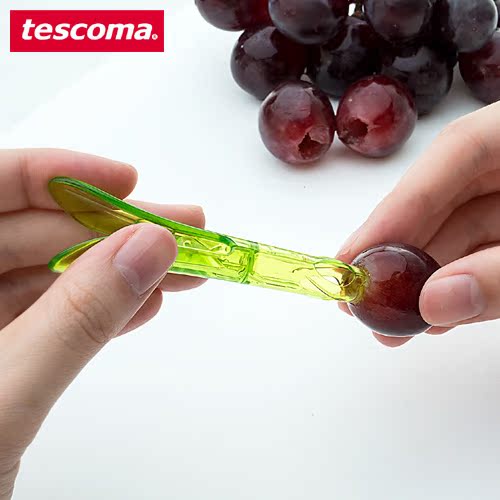 捷克TESCOMA正品 葡萄去籽器2件套葡萄提子去籽专用 创意厨房用品