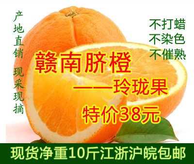 七洋果园 赣南脐橙 新鲜有机水果团购 新鲜玲珑橙10斤装酒店冷盘