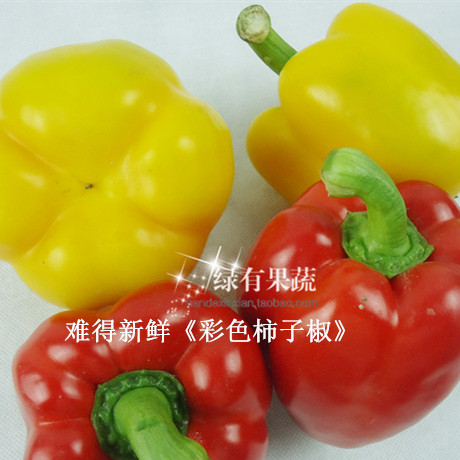 绿有果蔬 新鲜彩椒500g/2个 圆柿子椒红黄灯笼椒 蔬菜沙拉甜椒