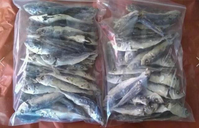 3份包邮福建东山特产海鲜海产品干货批发去骨巴浪鱼干提鱼零食