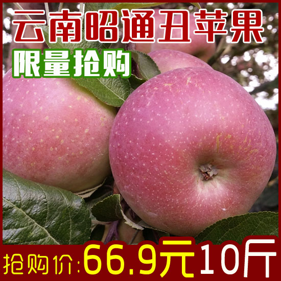 昭通苹果昭通野生丑苹果云南邵通特产新鲜脆甜水果冰糖心包邮10斤