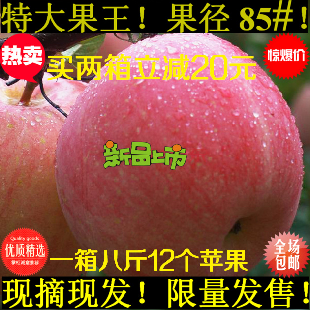年货送礼精品特大红富士苹果8斤十二个装非烟台栖霞新疆冰糖心