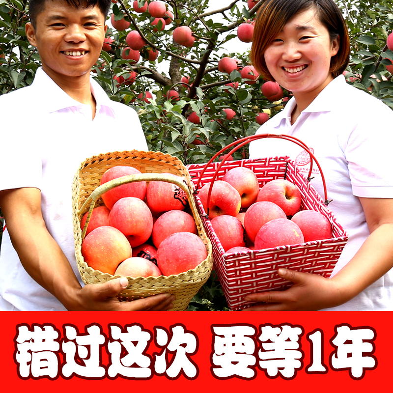 烟台苹果水果新鲜红富士苹果山东栖霞新鲜有机苹果4.5斤75#包邮