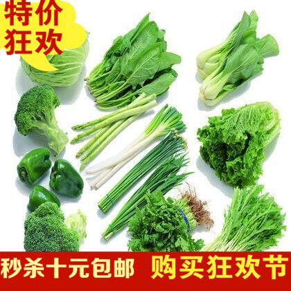 包邮 低价四季播种绿色蔬菜芹菜荠菜香菜 青菜生菜木耳菜韭菜种子
