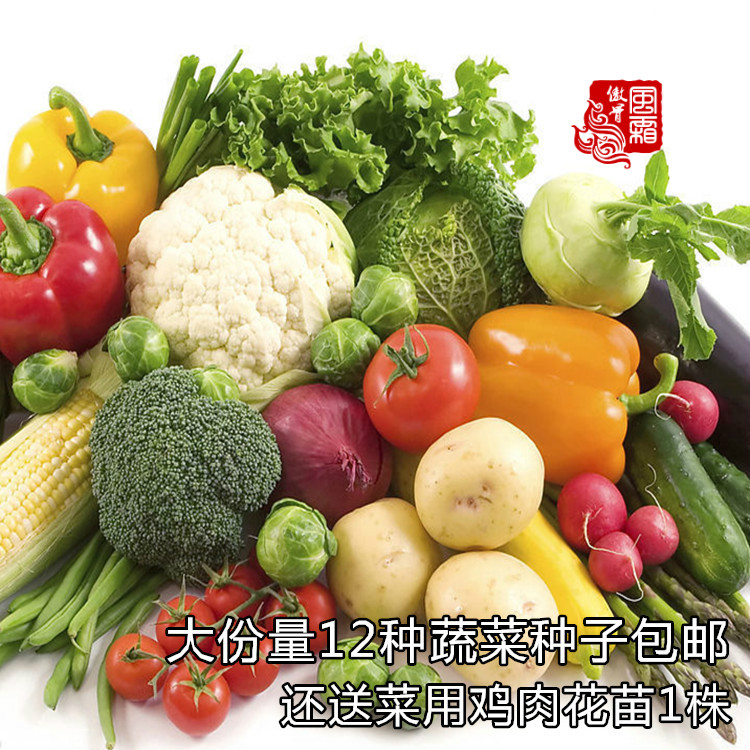 四季蔬菜种子组合蔬果种子盆播地播蔬菜籽阳台菜籽送食用花树苗折扣优惠信息