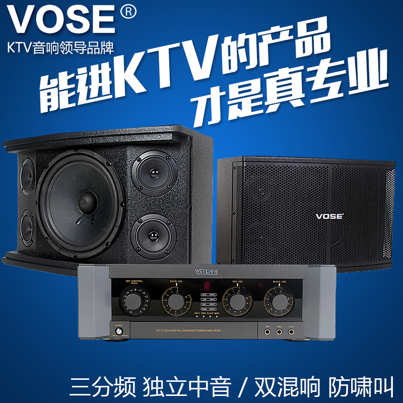 威仕Vose VS-1801 家庭卡拉OK音响套装KTV音响套装会议音响点歌机