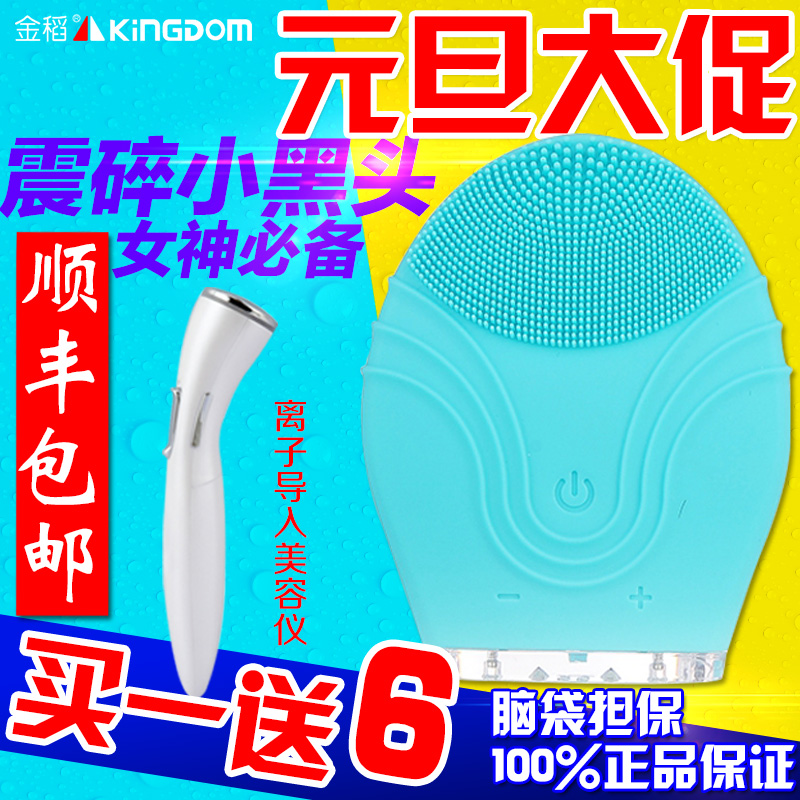 金稻电 充电洗脸仪美容仪器毛孔清洁器防水KD-303折扣优惠信息