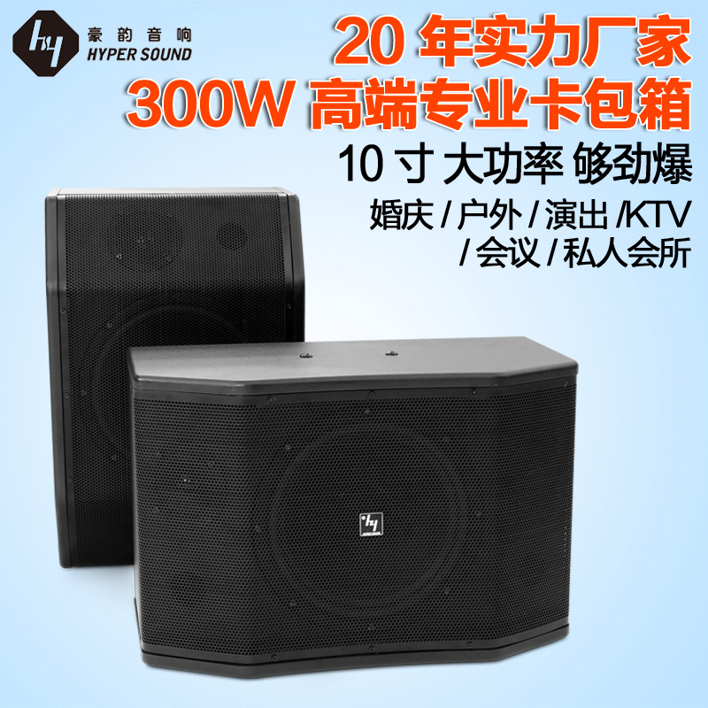 豪韵SP-300专业舞台箱家庭ktv卡拉OK木质音箱10寸高保真卡包箱
