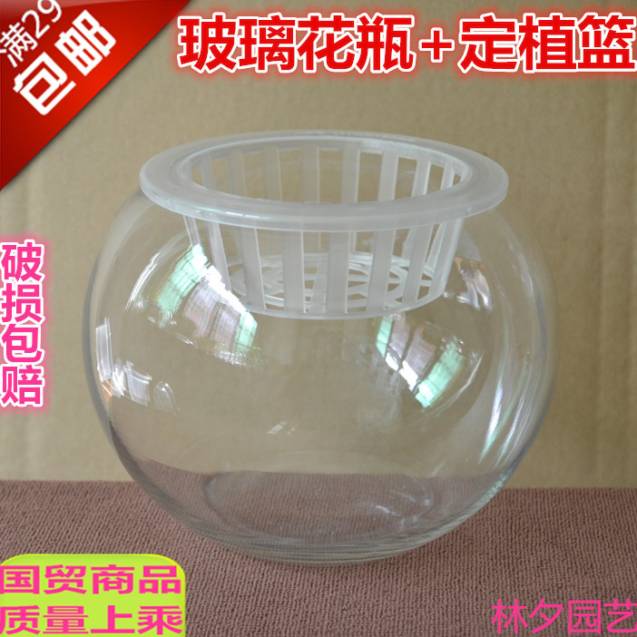 水培花瓶 圆球透明玻璃花盆 配 带定植篮水生植物鱼缸容器器皿