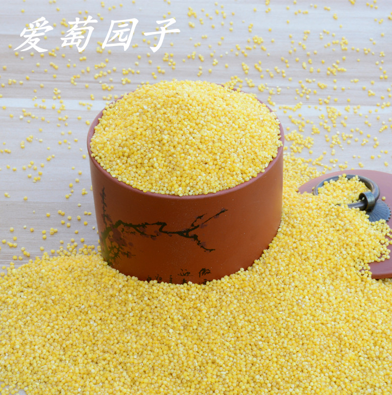 正宗农家自产小黄米 坐月子粘小米 250g粗粮有机杂粮 宝宝粥