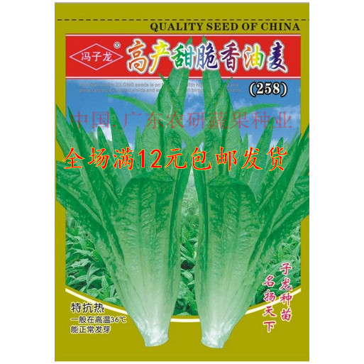四季香油麦菜种子 菜籽阳台 原厂彩袋包装20克高产型，菜籽批发商折扣优惠信息