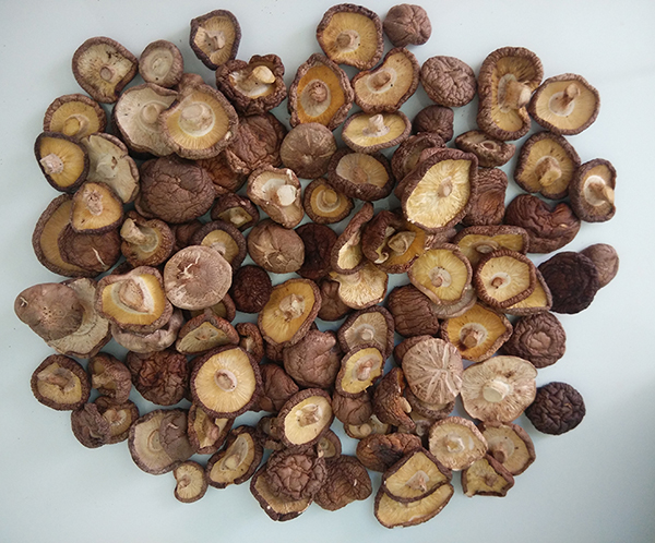 2015新干货河北野生 特级小香菇蘑菇金钱菇 肉厚无根 包邮 250g