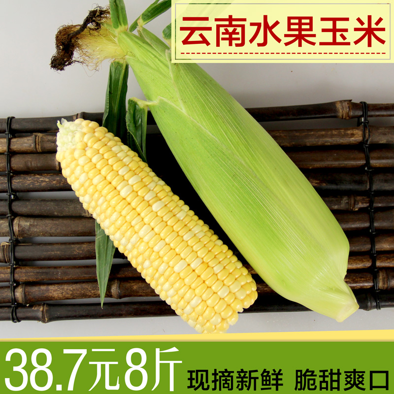 云南昆明特产新鲜水果玉米8斤新鲜蔬菜甜玉米棒粒单个400g左右折扣优惠信息