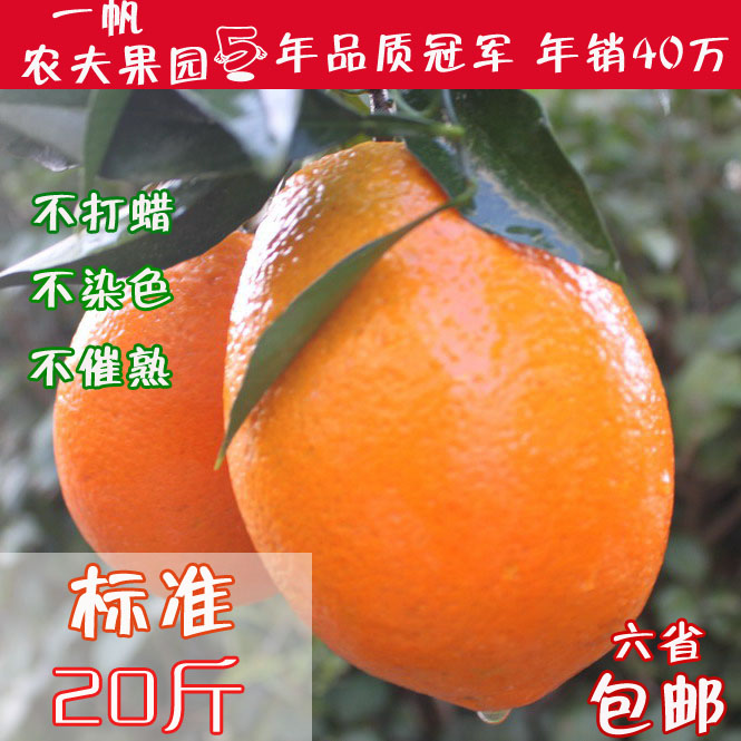 一帆 赣南脐橙  甜橙 标准果 新鲜 橙子 现货 20斤送一斤 包邮