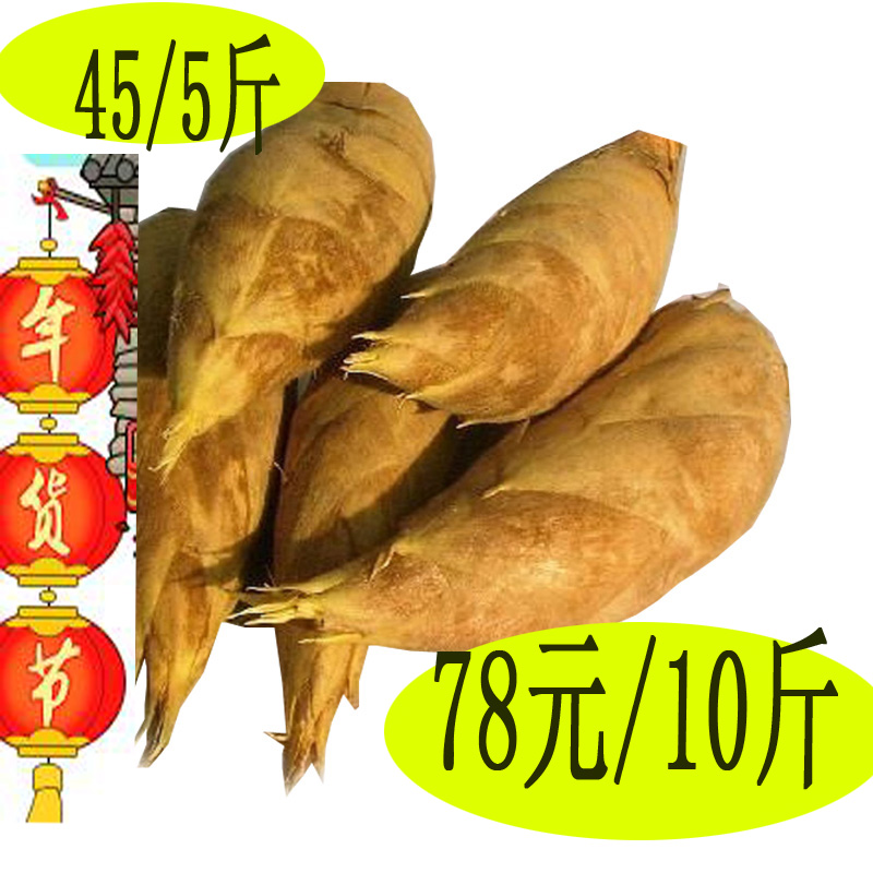 拍下45元/5斤 78元10斤 优质大笋 贵州赤水新鲜冬笋 现挖现卖竹笋