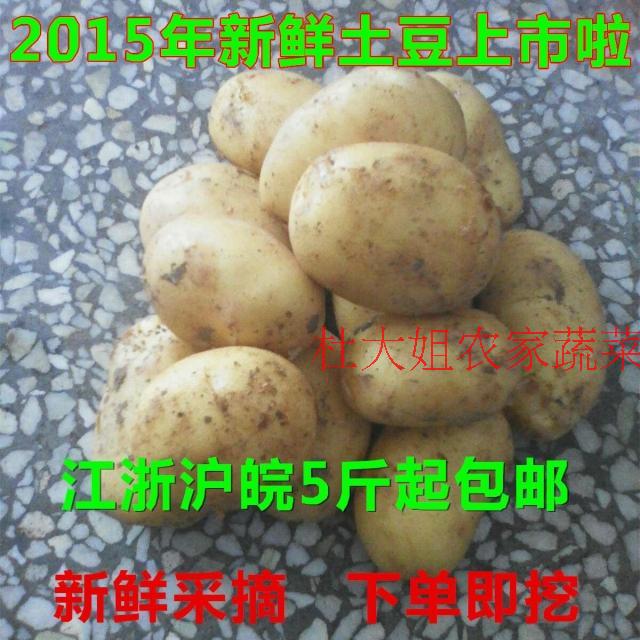 2016年春季新鲜土豆 马铃薯 洋芋全国大部分地区五斤包邮折扣优惠信息