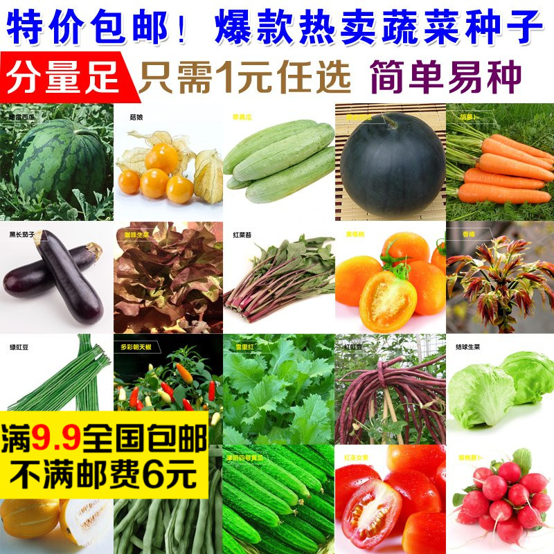 蔬菜种子套餐 阳台盆栽四季播易种菜种子 水果种子 多款春播菜籽折扣优惠信息