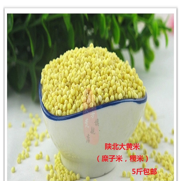 陕西延安特产陕北大黄米 硬糜子米粳米稷米粗杂粮小米500g5斤包邮