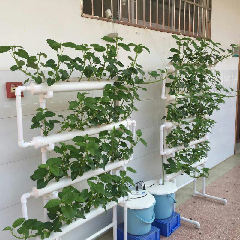 走廊种菜机阳台无土栽培蔬菜设备家庭温室菜园水培芽苗菜种植架子