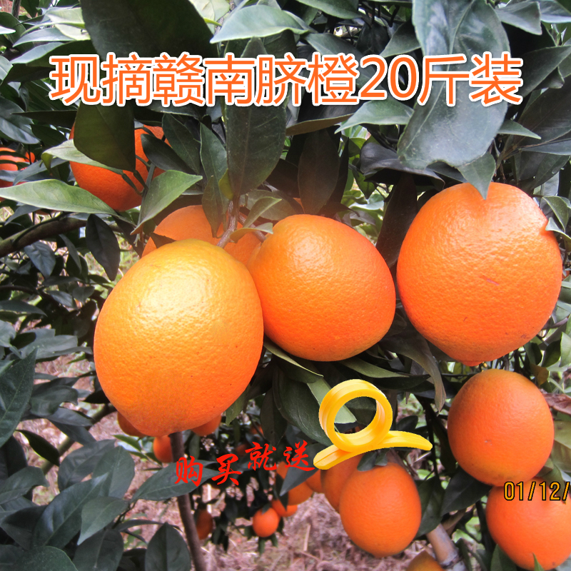 正宗江西赣南脐橙包邮甜脐橙 20斤装新鲜水果 纯天然现摘甜橙子