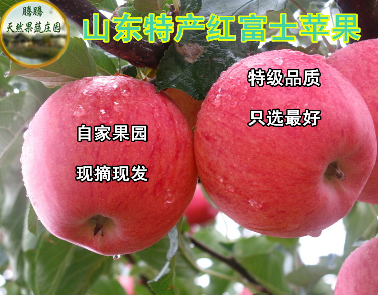 山东烟台苹果水果新鲜红富士有机特产糖心80#10斤包邮折扣优惠信息