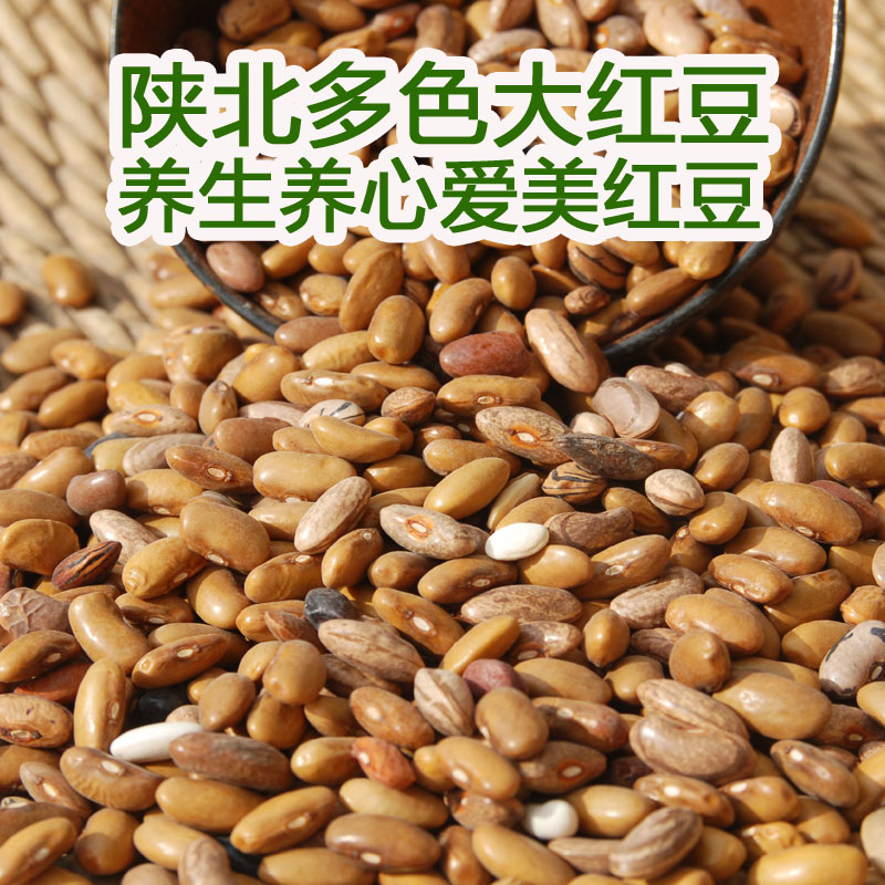 陕北大红豆 专业煮饭红豆 花色豆角豆有机杂粮农家自种做豆沙豆包