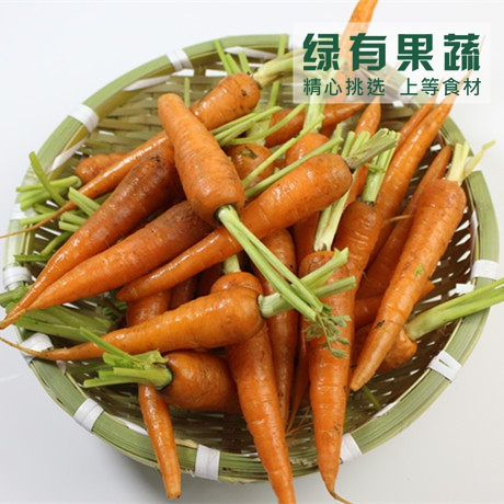 绿有果蔬 新鲜有机蔬菜胡萝卜500g 迷你小萝卜营养丰富宝宝辅食