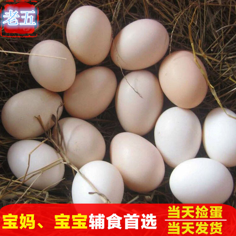 正宗农家散养新鲜土鸡蛋 草鸡蛋 柴鸡蛋 自产自卖30枚顺丰包邮