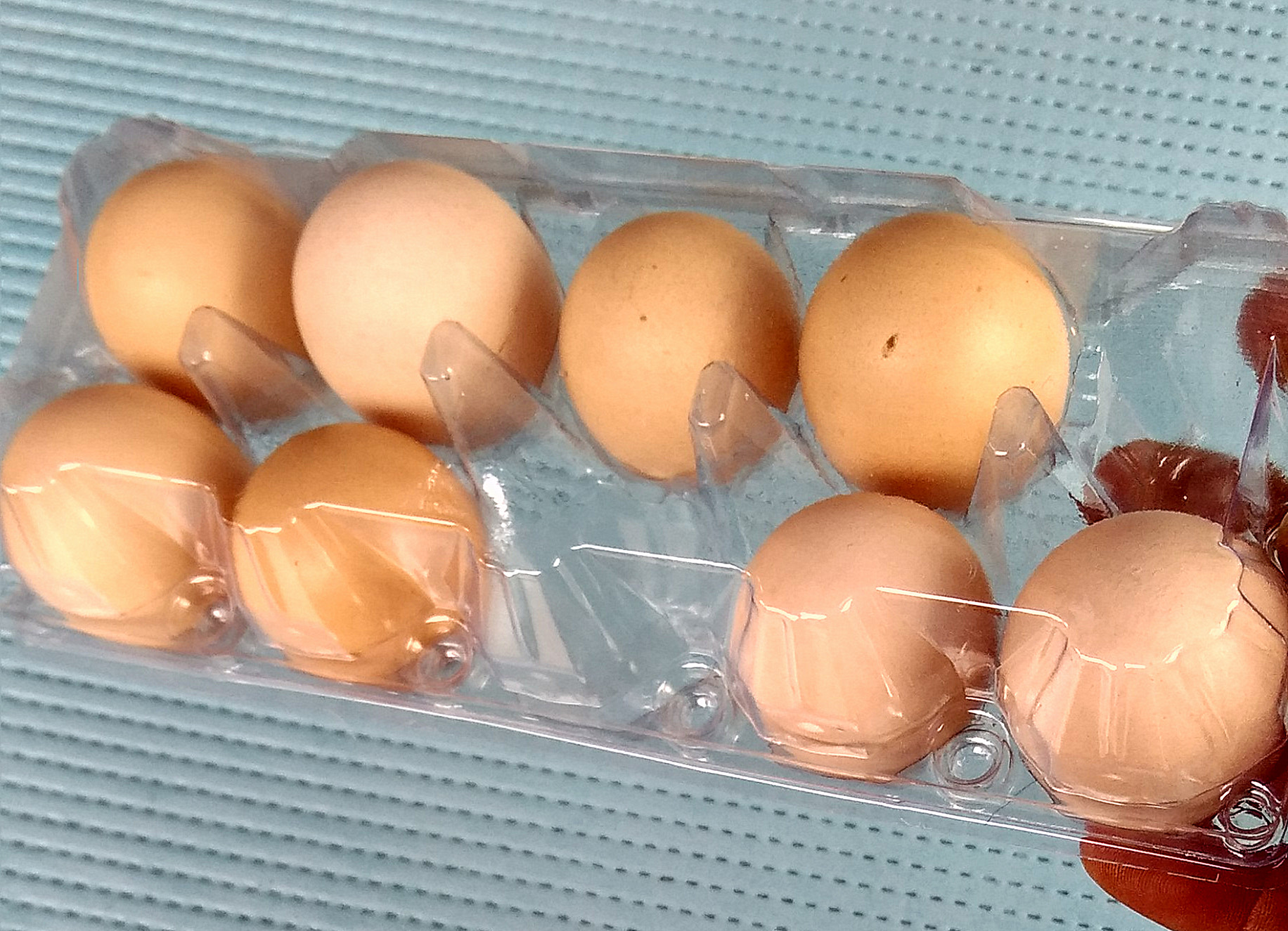 厚款中号10枚鸡蛋托 鸡蛋盒包装盒 吸塑鸡蛋托盘 内径44mm折扣优惠信息