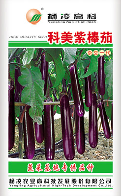 杨凌蔬菜种子批发 高产抗病科美紫棒茄种子 紫色茄子折扣优惠信息