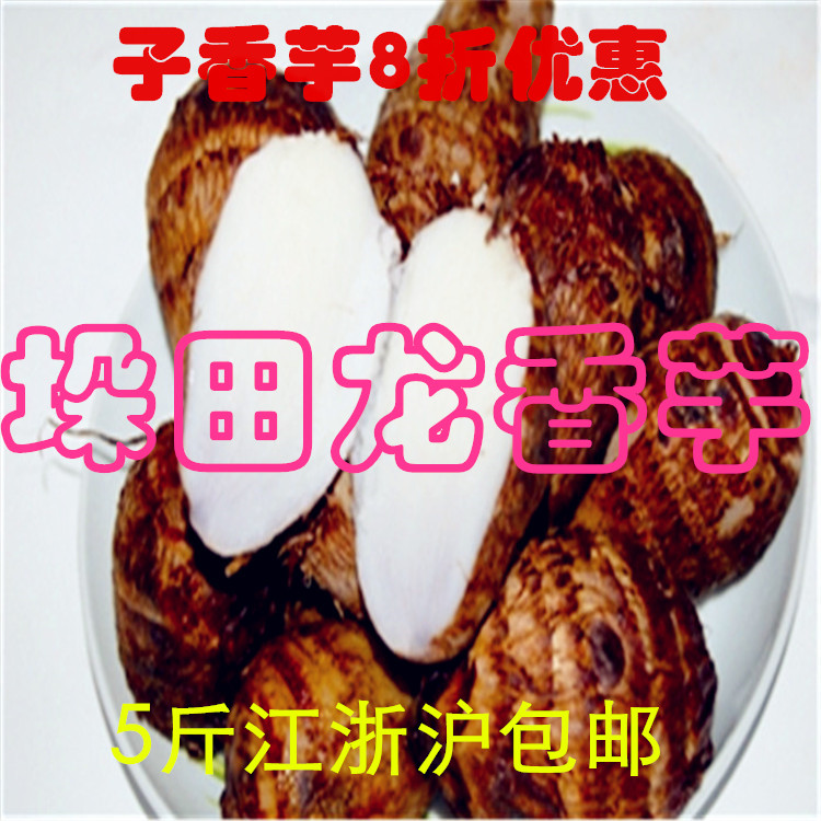 垛田 龙香芋 兴化 小芋头种子 舌尖上的中国特产 菜花节