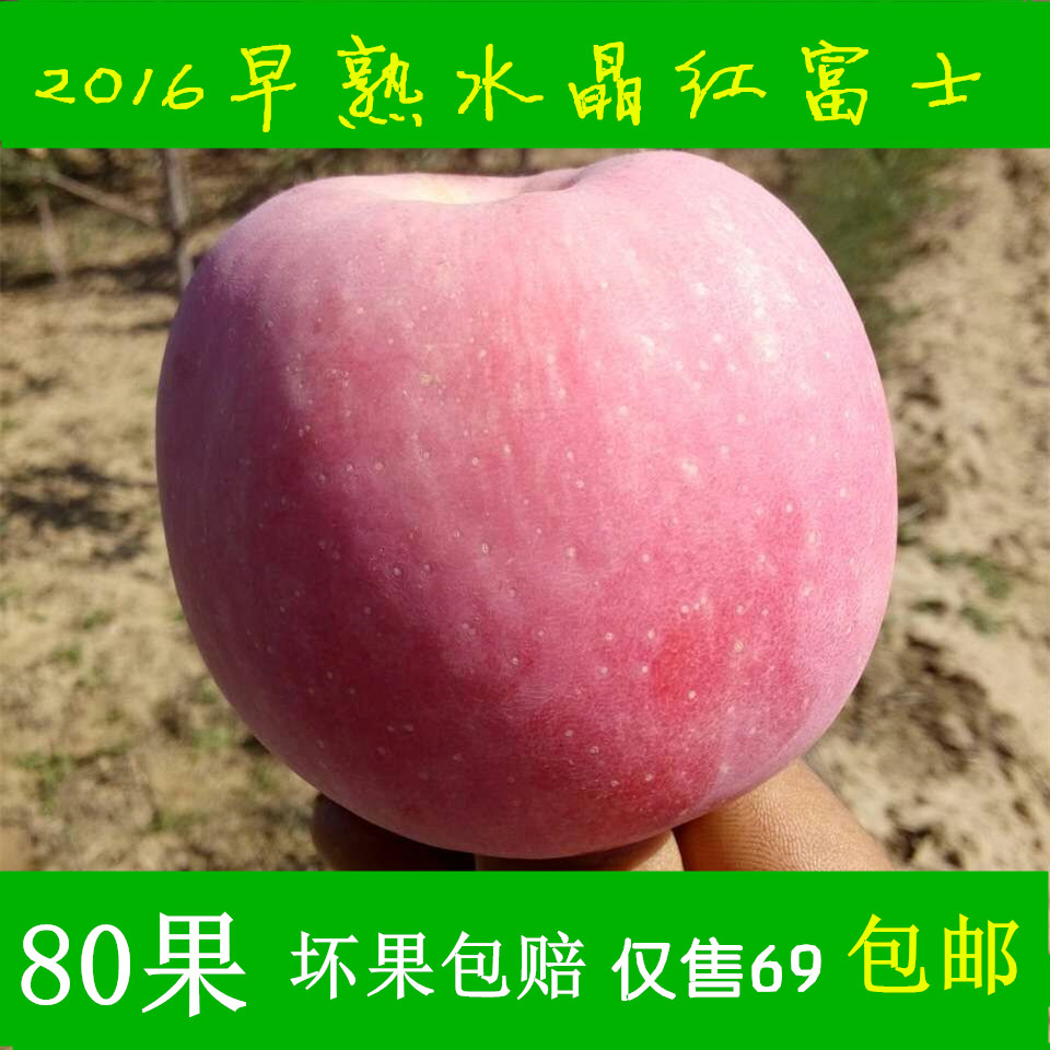 新鲜陕西洛川高原红富士苹果水果 脆甜多汁送礼自食十斤装包邮