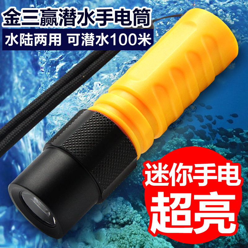 金三赢迷你 专业强光潜水手电筒 可充电 防水LED远射户外骑行登山
